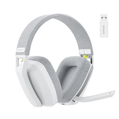 BW06 2.4GHz Wireless Gaming Headset with Microphone for PS5, PS4.